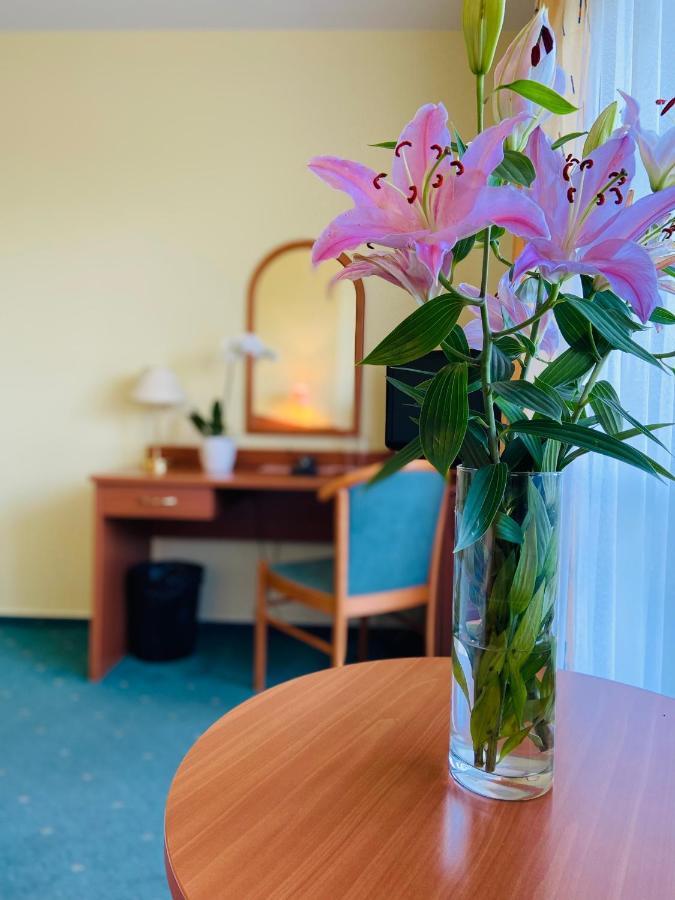 Garni Hotel Pyramida ヘプ エクステリア 写真